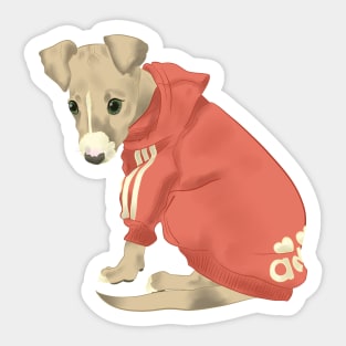 Italian Greyhound Sticker